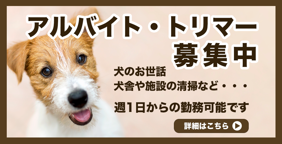 アジリティートレーニング 市原市犬のしつけ教室 Only Wan オンリー ワン