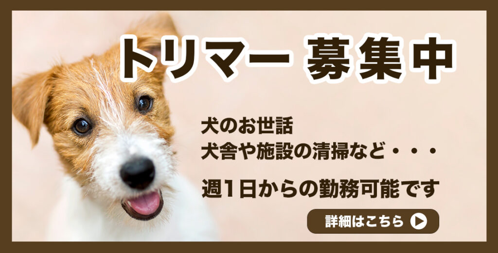 トリマー募集 市原市犬のしつけ教室 Only Wan オンリー ワン